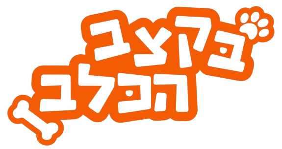 בקצב הכלב