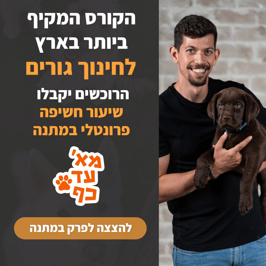 הקורס המקיף ביותר בארץ לאילוף גורים
