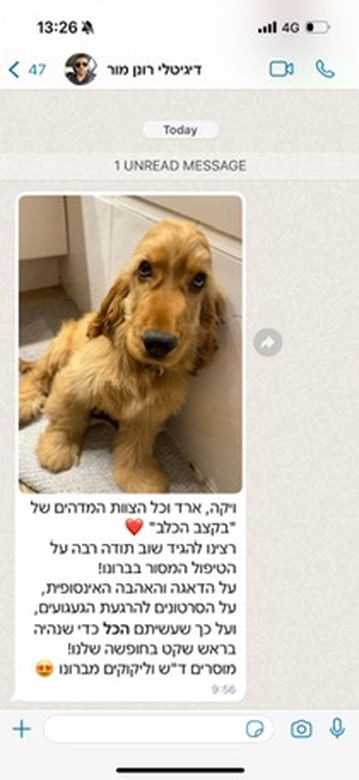 בקצב הכלב
