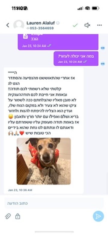 בקצב הכלב