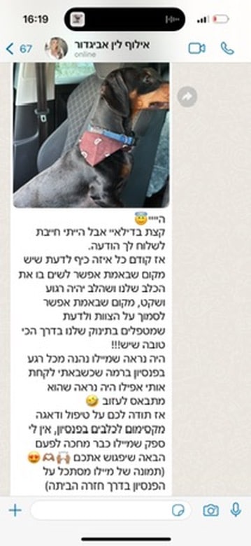 בקצב הכלב
