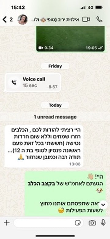 בקצב הכלב