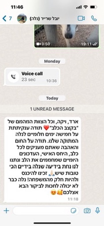 בקצב הכלב