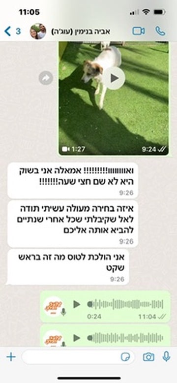 בקצב הכלב